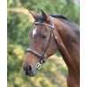 Briglia con impunture Fancy Blenheim Shires - Avana