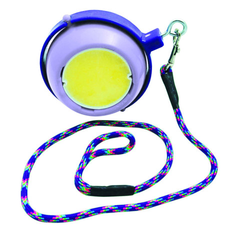 Gioco con pietra di sale Boredom Buster Likit