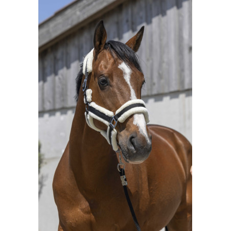 Capezzina Norton Cosy