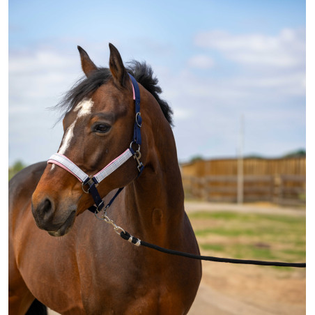 Capestro Equithème Nylon Check