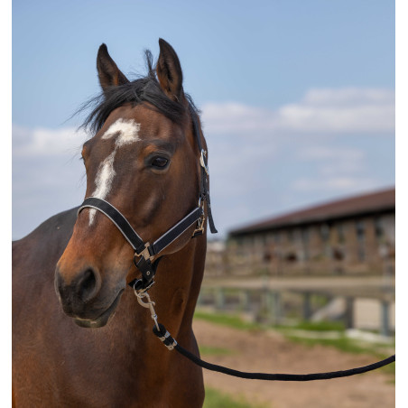 Capezzina Equithème Nylon light