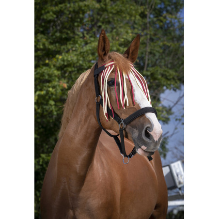 Frontal scaccia-mosche Norton