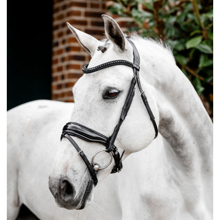 Briglia Horseware Diamante con chiudibocca flash