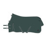 Coperta da paddock Imperial Riding Basic senza copricollo 200 g - Verde