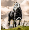 Coperta Horseware Rhino Turnout Pony Bundle con liner 0 g e 200 g - Quadri nero / nero e bianco