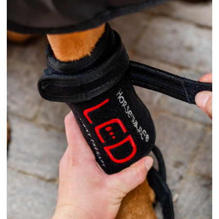 Ghette terapeutiche per cane Horseware a luce LED rossa