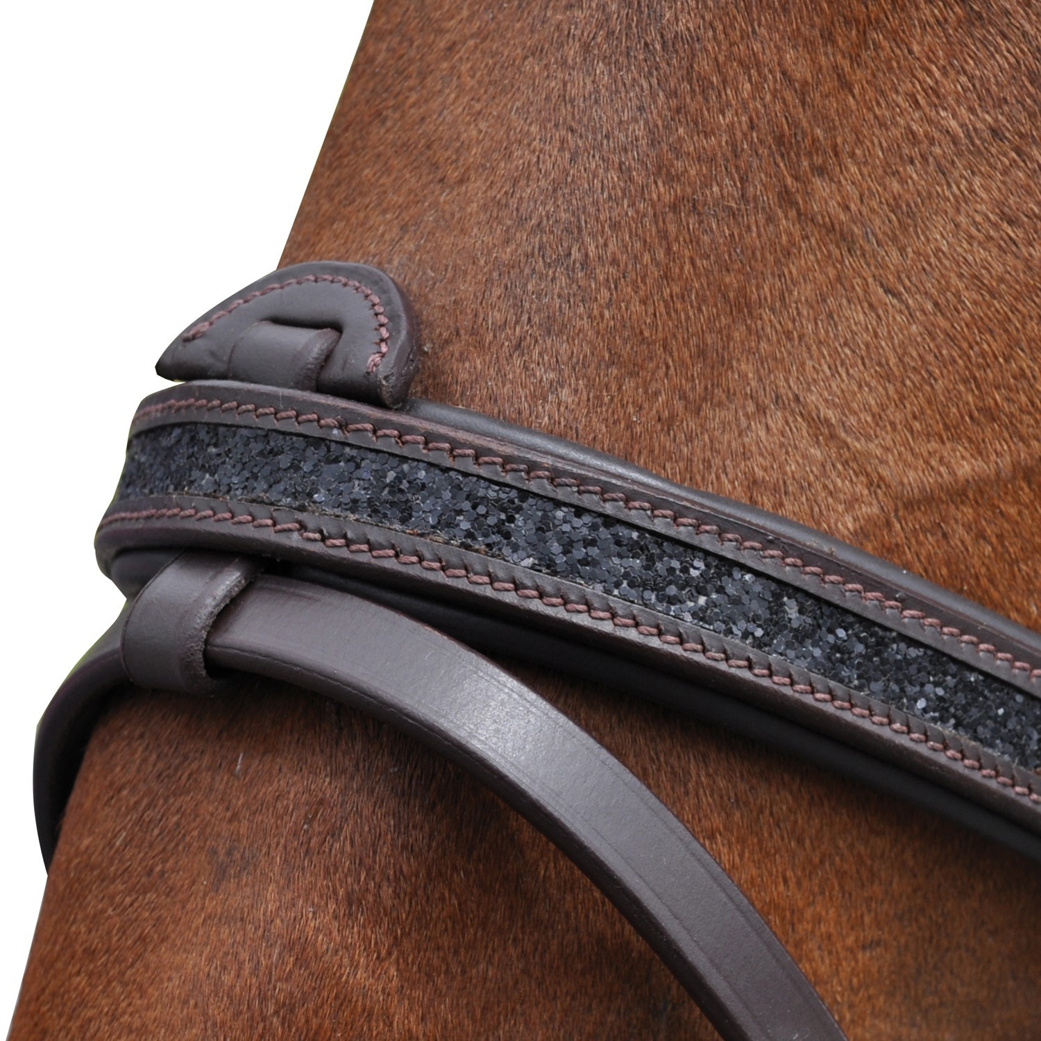 Briglia Canter Nera con strass Nero