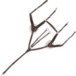 Pettorale Canter a 5 punti