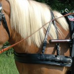 Bricole Euro con sovracapo Canter