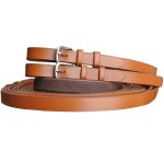 Guide cacciatore con imbracatura in coppia Chetak