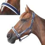 Capezza in cuoio foderato Chetak