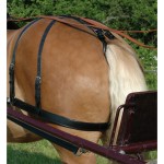 Arretramento Euro Chetak