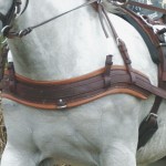 Bricole Anatomique Eric Le Tixerant