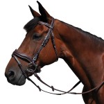 Briglia Flags & Cup Copenhague