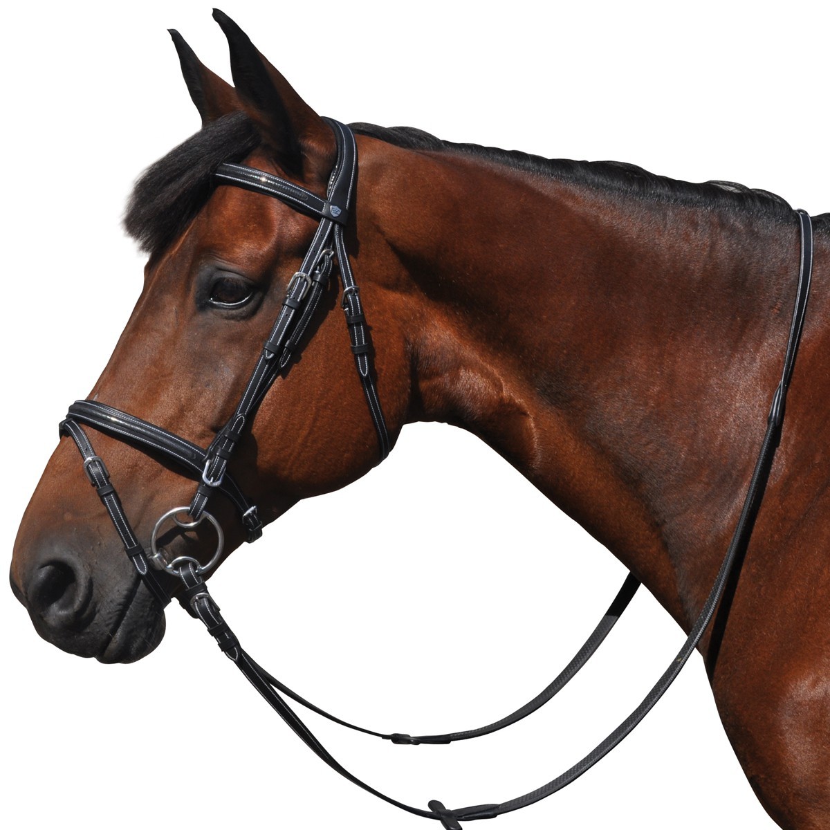 Bridon Flags & Cup Helsinki Noir