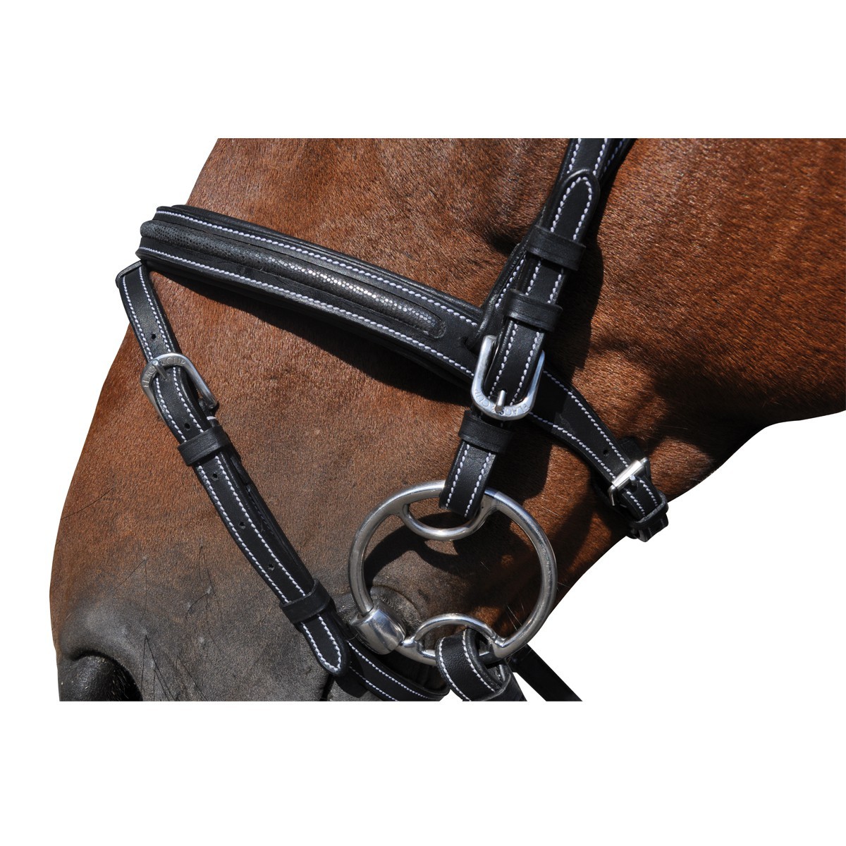 Bridon Flags & Cup Helsinki Noir