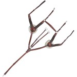 Pettorale a 5 punti Lexington