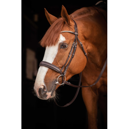 Briglia Pénélope Daily Strass SR