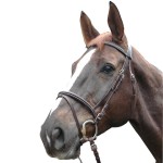 Bridon Privilege Equitation Biarritz combinato