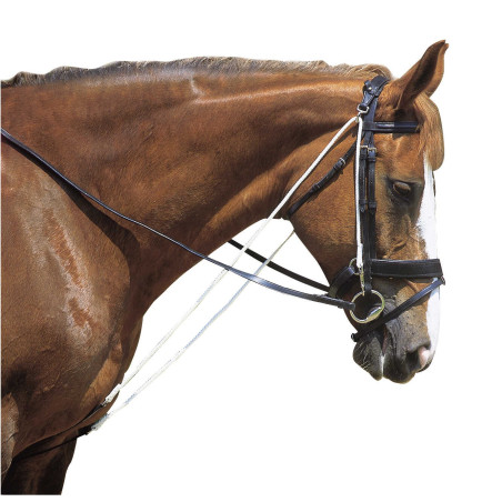 Chambon Excelsior a carrucole