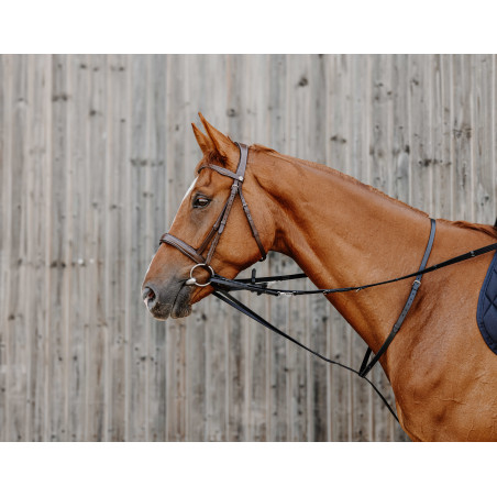 Redini ausiliarie Norton Pro Thiedeman