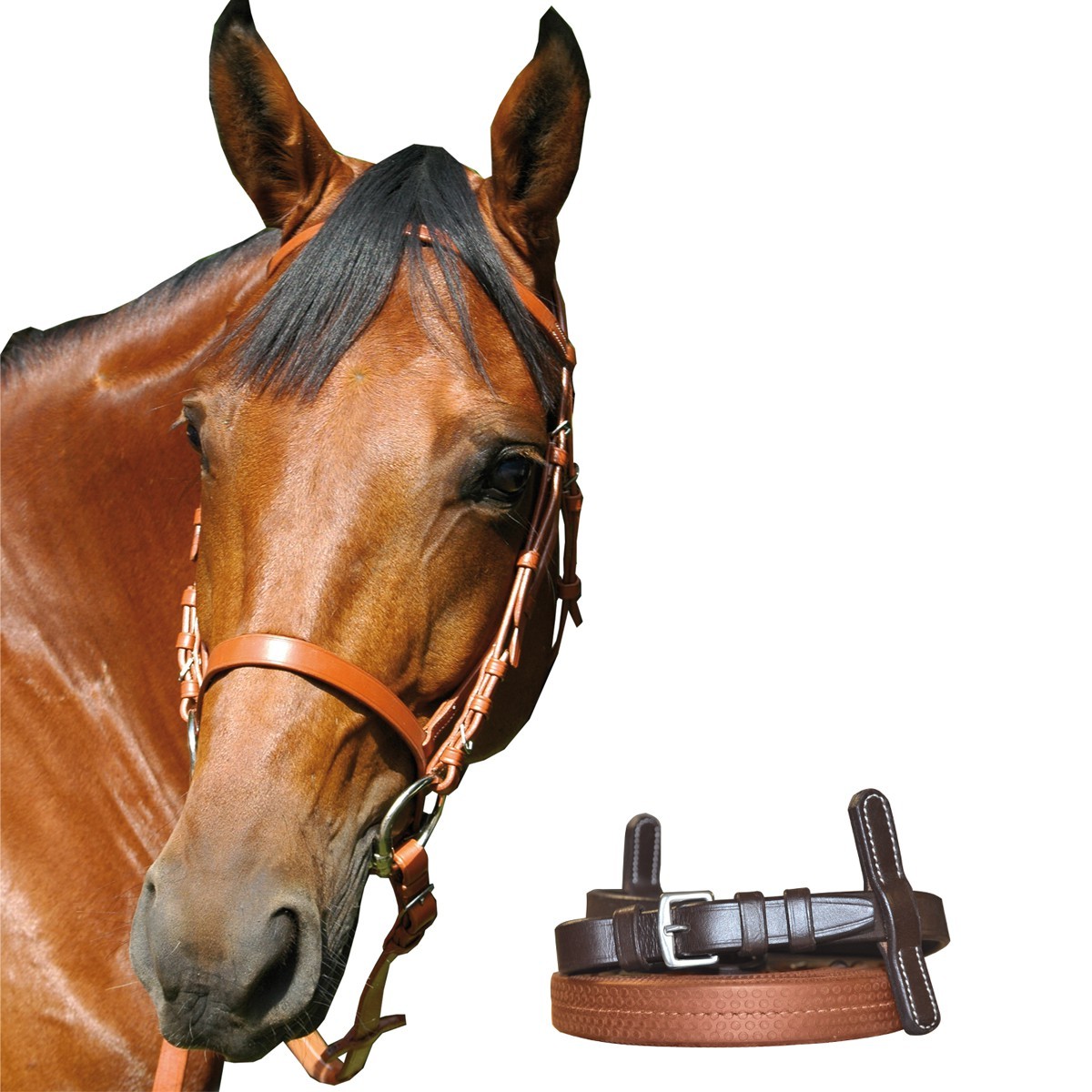 Testiera da allenamento Canter