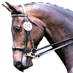 Protezione per naso anti-incensamento Equilibrium