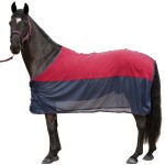 Set di capezza, lunghina e maglietta asciugante Canter