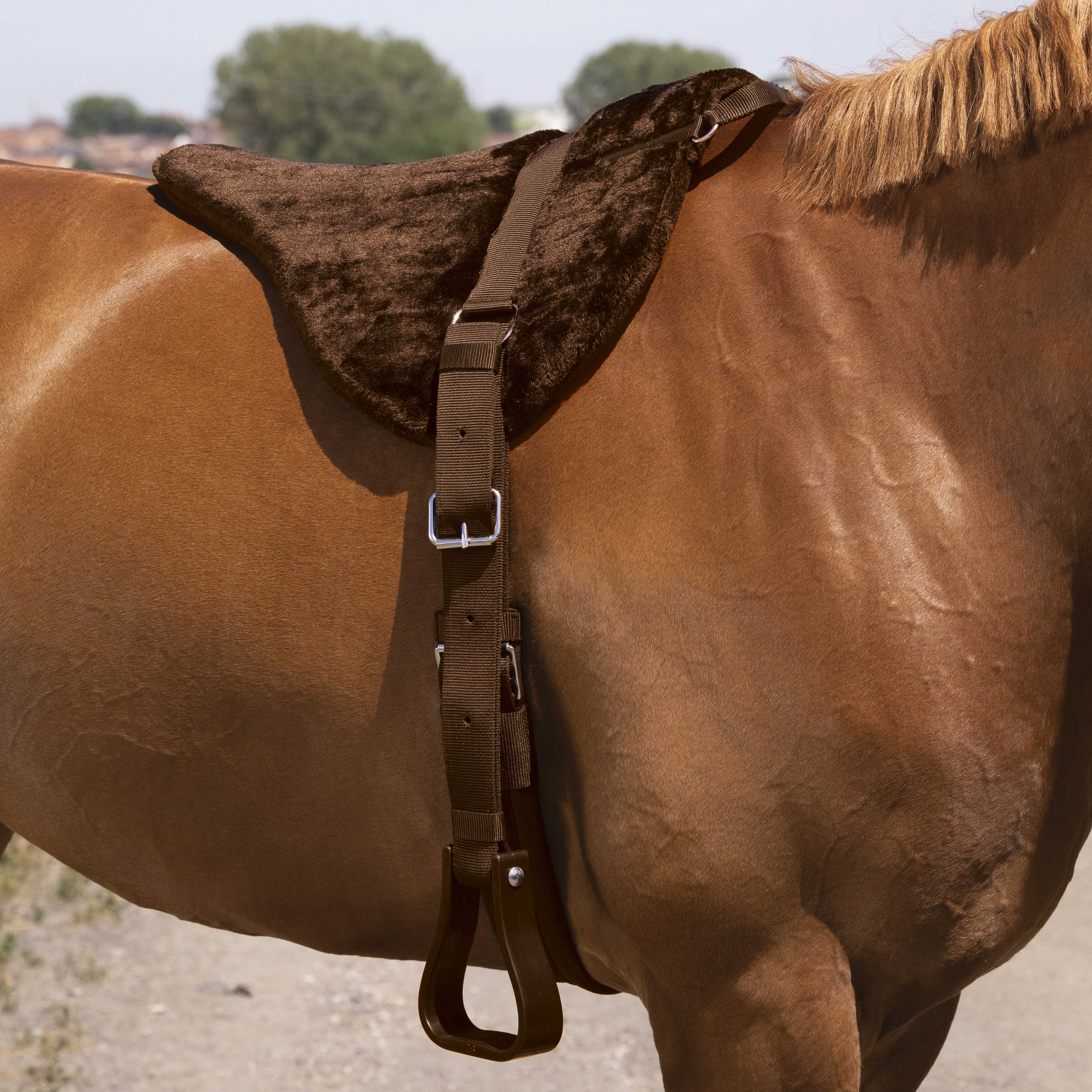 Tappeto da monta a pelo Norton Confort Marrone