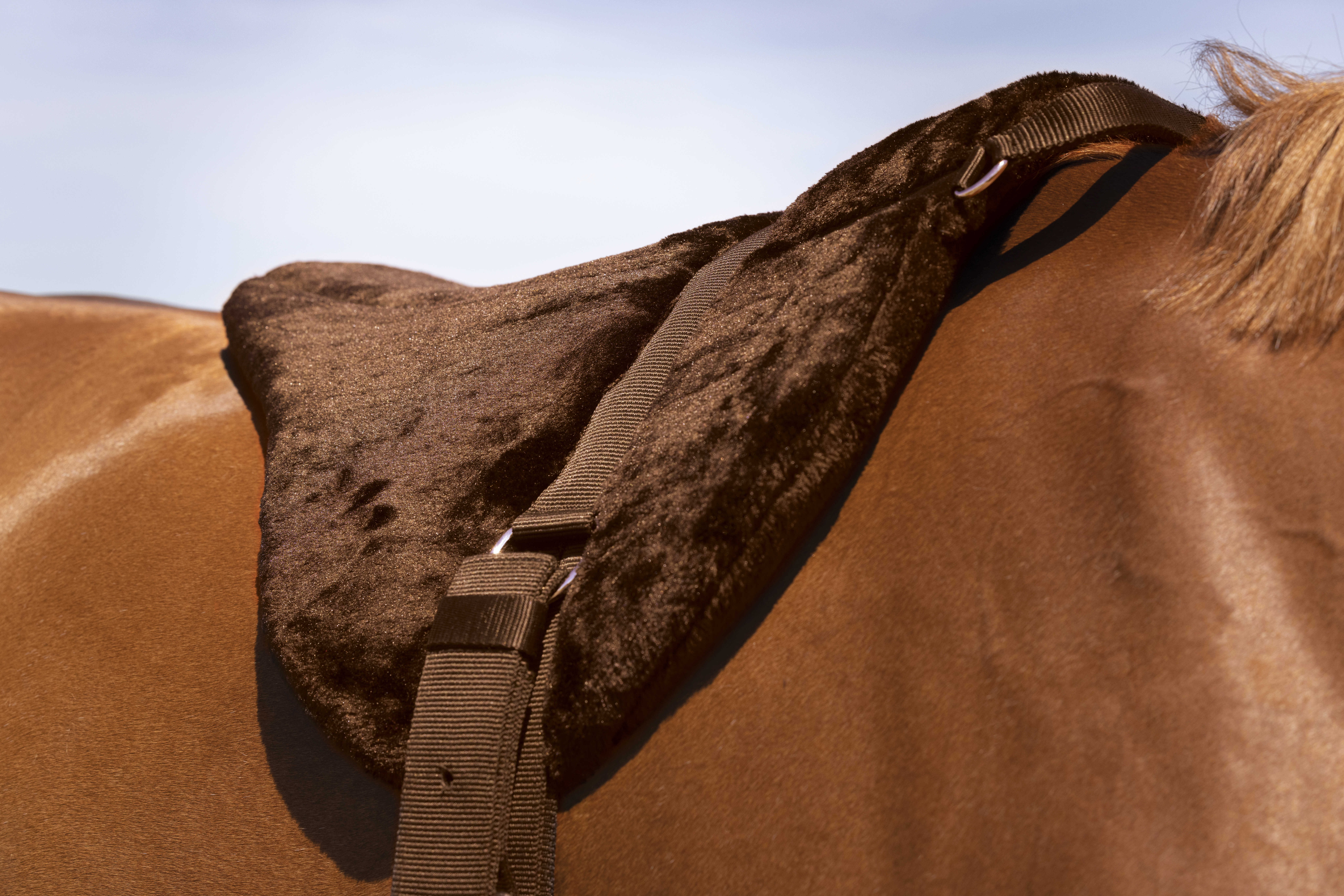 Tappeto da monta a pelo Norton Confort Marrone