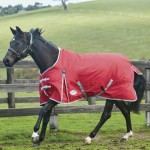 Coperta Weatherbeeta ComFiTec Classic 220 g