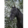 Briglia Riding World Capezzina francese - Nero