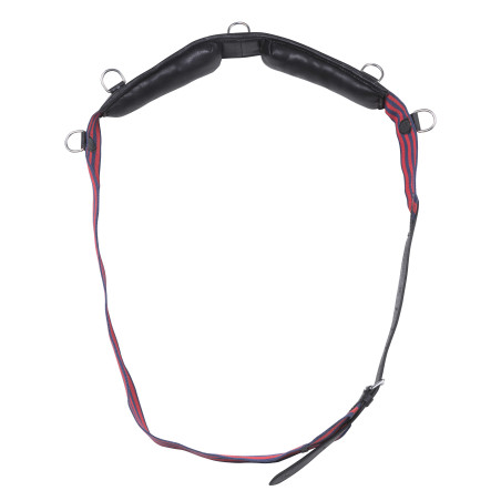 Sottopancia con cinturino Norton Club