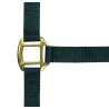 Capestro in nylon foderato in cuoio Norton - Verde scuro