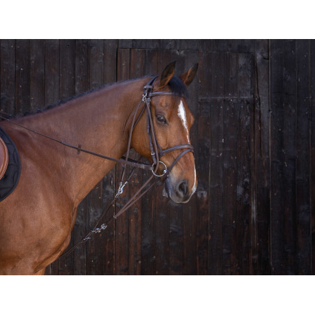 Gogue a carrucole Riding World