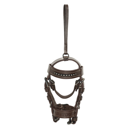 Briglia charms HV Polo Legacy