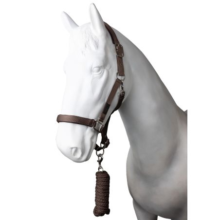 Capezza e lunghina Horze Lucca