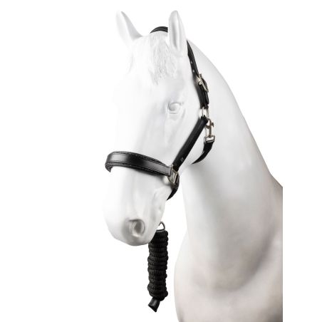 Capestro in pelle con lunghina Horze Dynasty