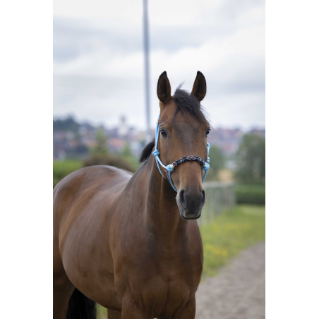 Capestro etologico Norton Pearl