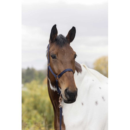 Capestro + lunghina Norton Rose gold