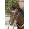 Bridon Westride di Franck Perret 1 orecchio - Nocciola