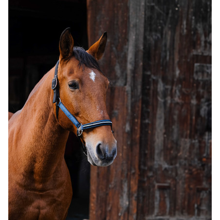 Capestro in nylon Equithème Domino