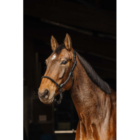 Capezza in cuoio/corda Norton