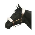 Set completo capezza Back On Track