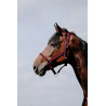 Capezzina Riding World Cushion - Rosso