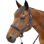 Capestro Canter in nylon foderato