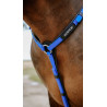 Pettorale Endurance Norton Pop - Blu reale