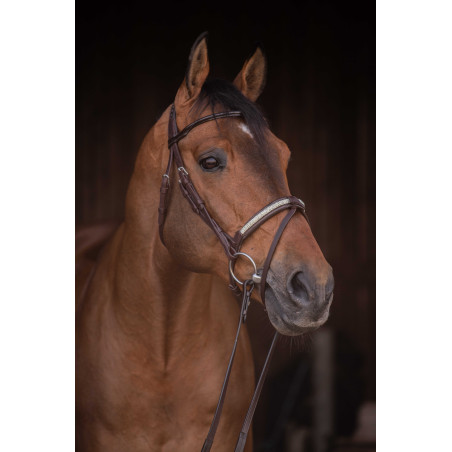 Briglia Pénélope Symphonie