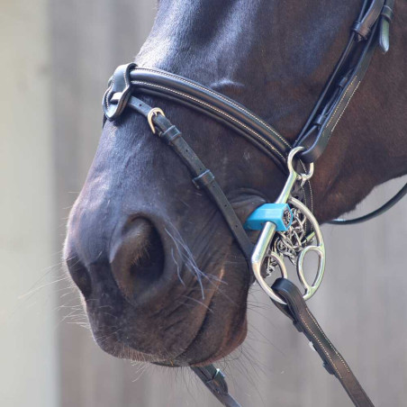 Morso spagnolo Metalab Flexi diritto