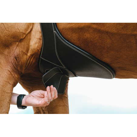 Cintura bavetta Magnet Norton